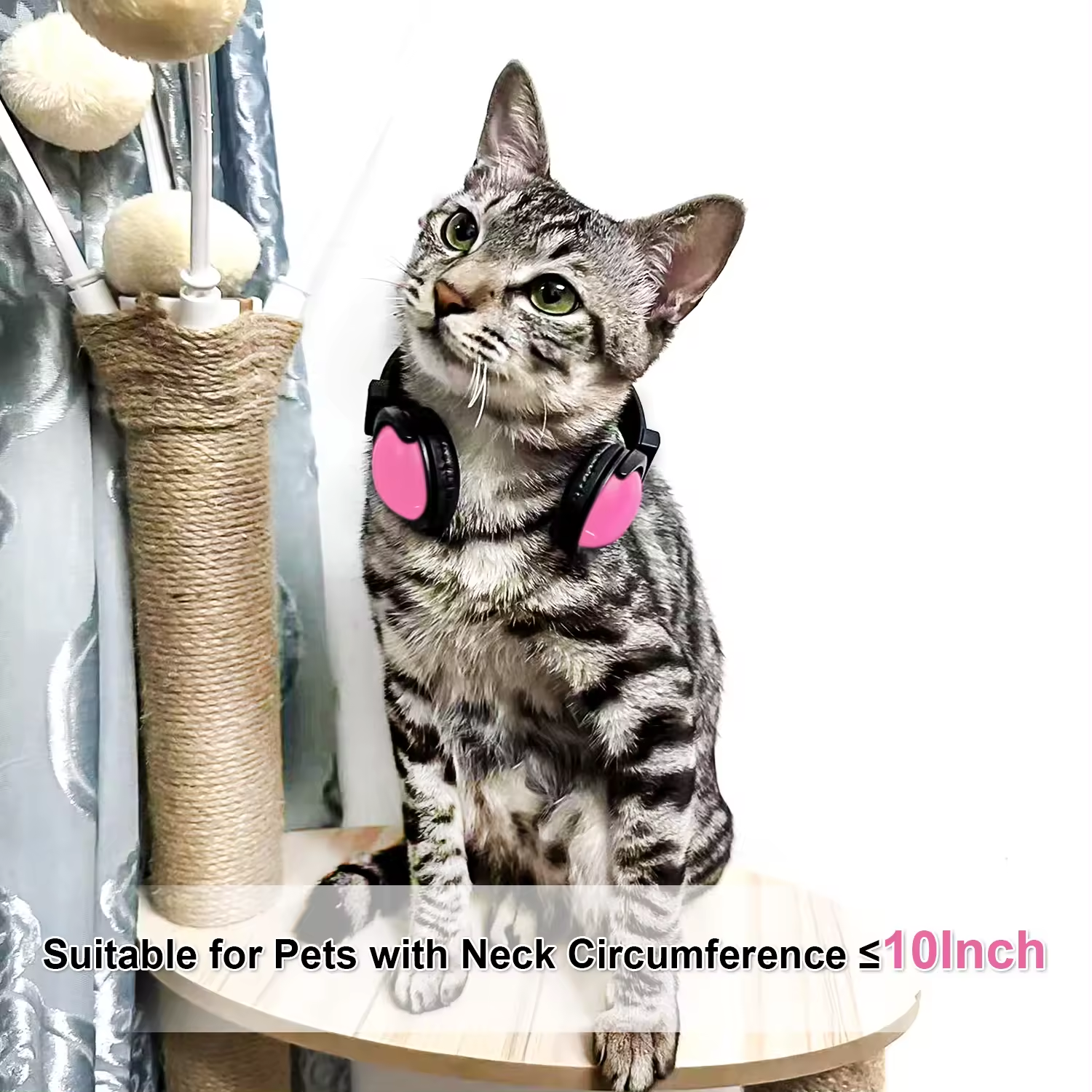  Pet Headphones Toy Dress Up Headsets